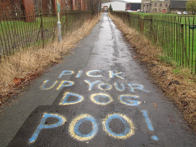 Pick Up Dog Poo