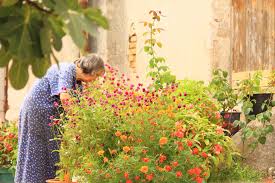 Lady in garden