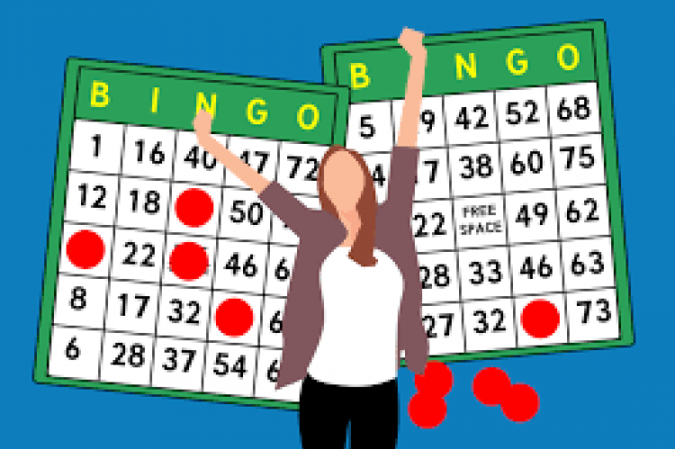 bingo-winner-driverlayer-search-engine